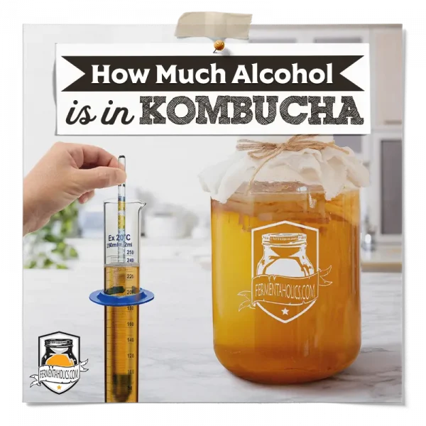 How Much Alcohol Is In Kombucha