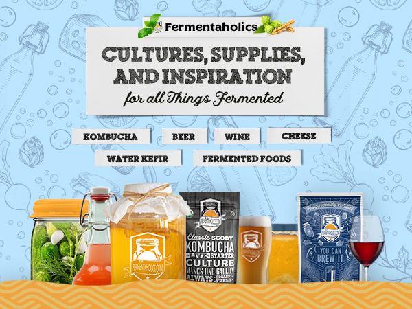 Mason Jars Fermenting Kit