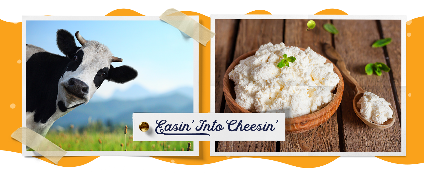 Cheesemaking Kit