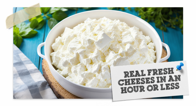 Fresh Cheese