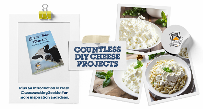 Cheese Booklet