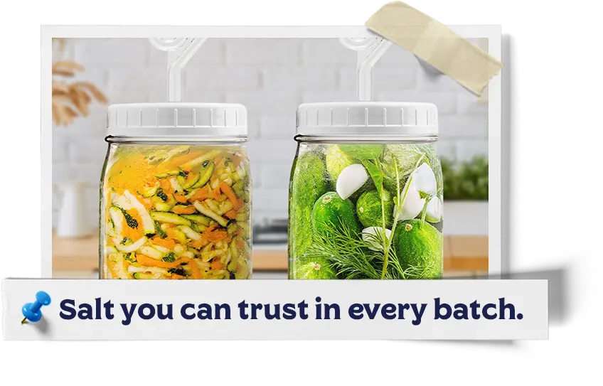 Best Pink Himalayan Salts