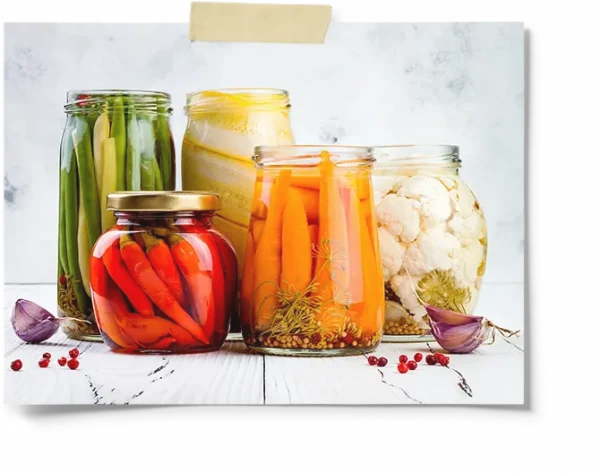 Pink Himalayas Salt For Fermented Foods