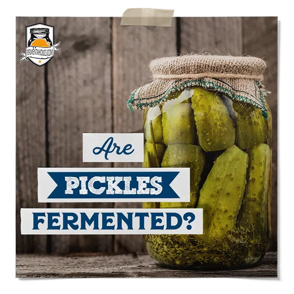 Are Pickles Fermented