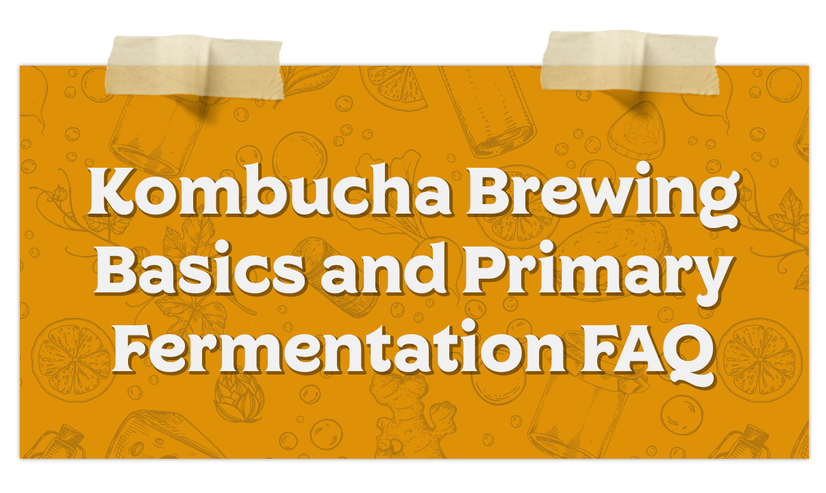 Kombucha Brewing Basics Primary Fermentation FAQ