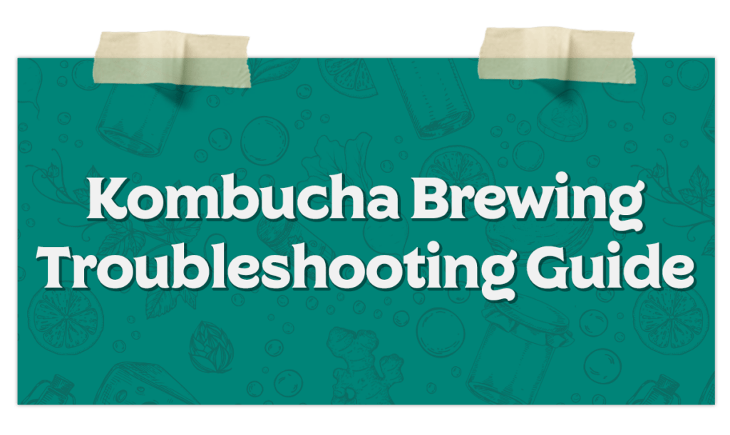 Kombucha Brewing Troubleshooting Guide​