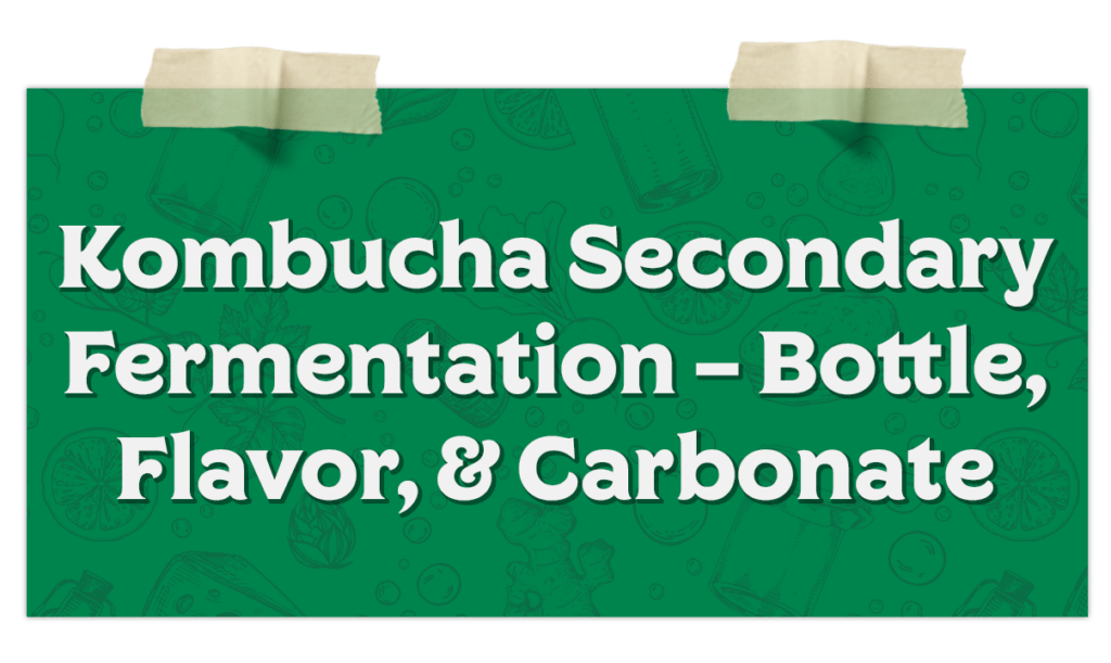 Kombucha Secondary Fermentation – Bottle Flavor Carbonate​