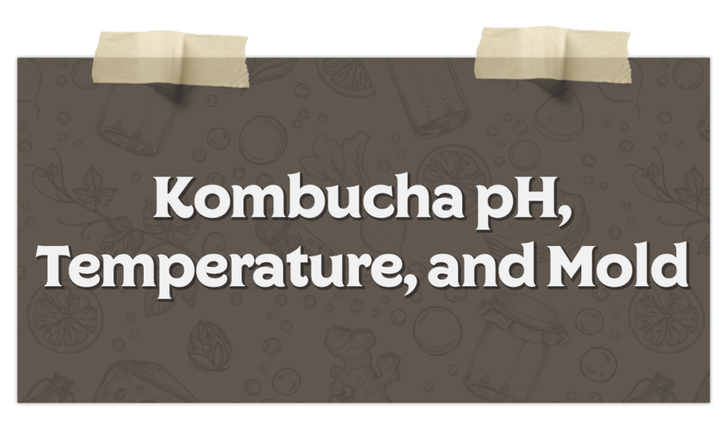 Kombucha pH Temperature and Mold