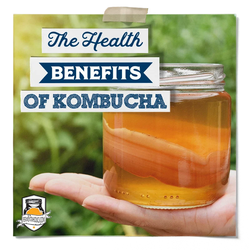 Health Benefits Of Kombucha