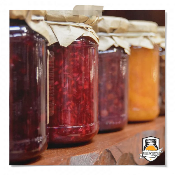 What Are The Benefits Of Kombucha