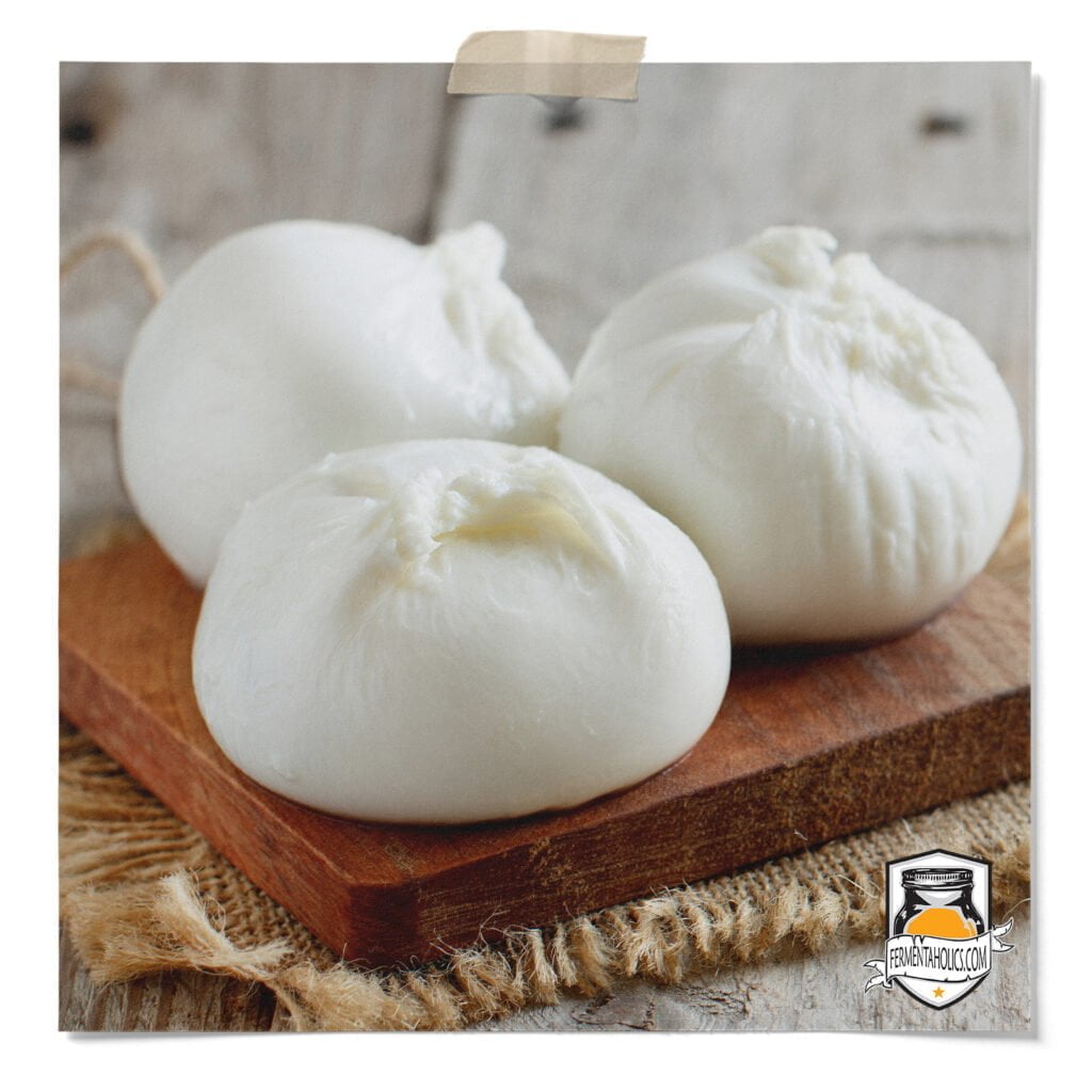 mozzarella cheese recipe