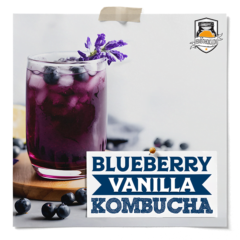 Blueberry Vanilla Kombucha