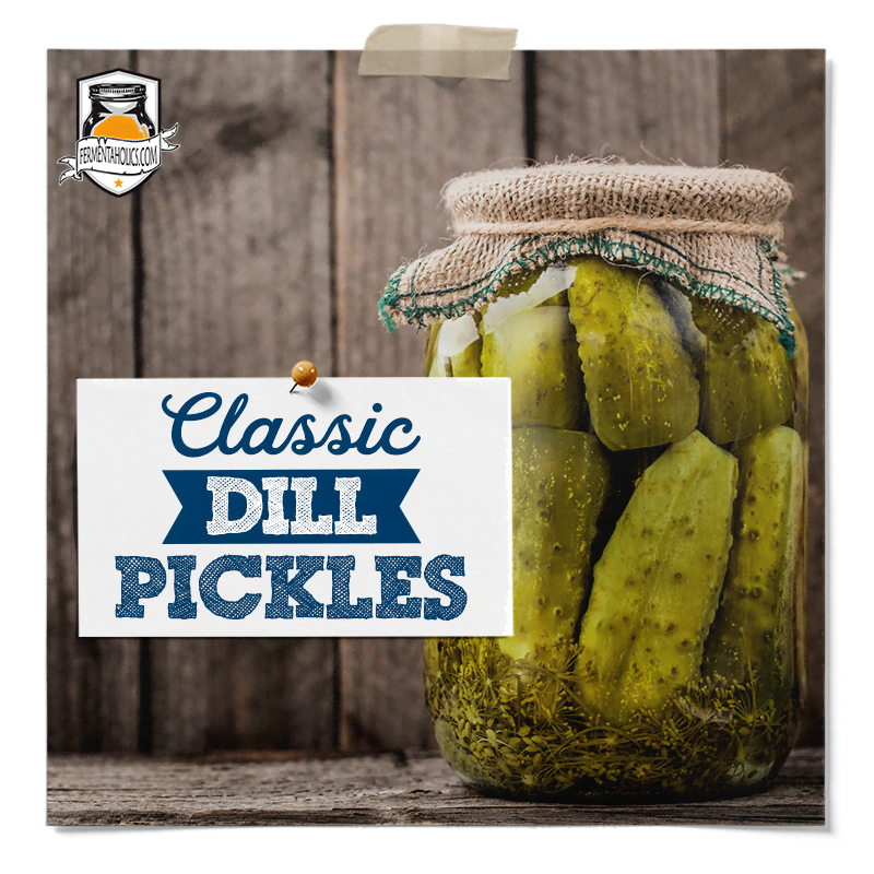 kosher dill pickle recipe