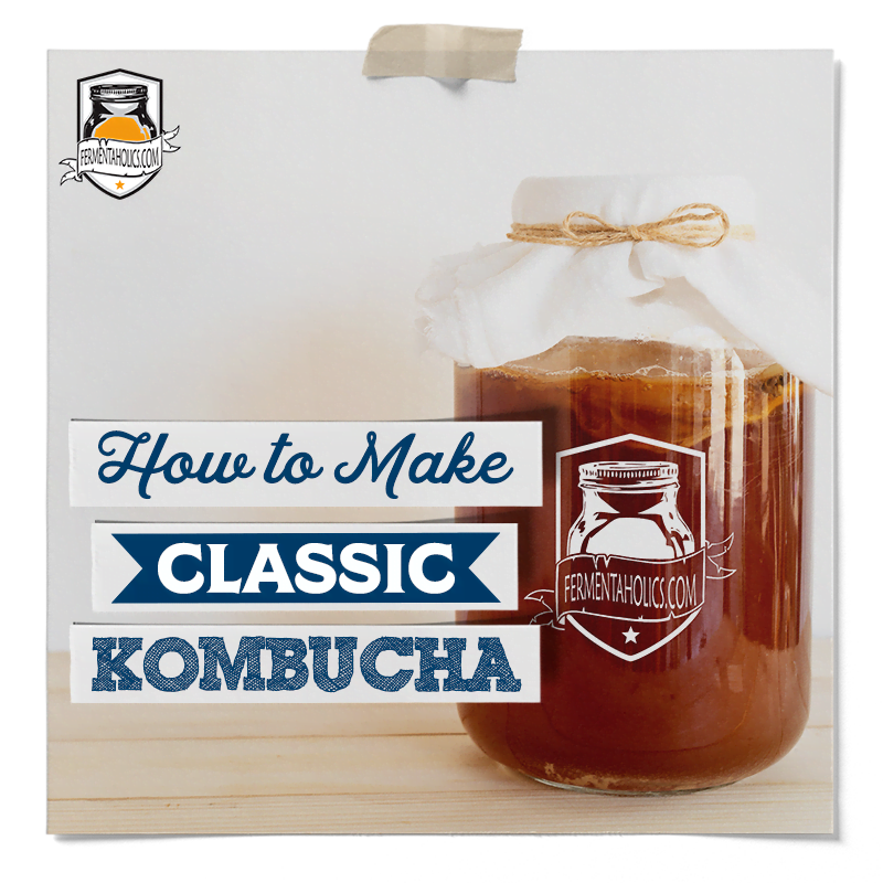 classic kombucha