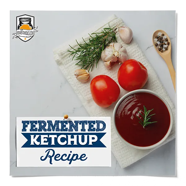 Fermented Ketchup Recipe