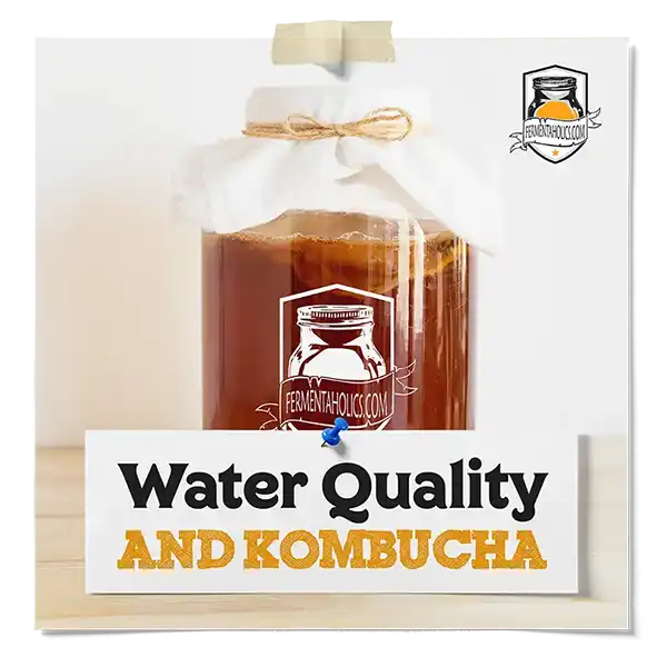 Water Quality And Kombucha