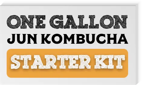 1 Gallon Jun Kombucha Ingredient Pack M01A