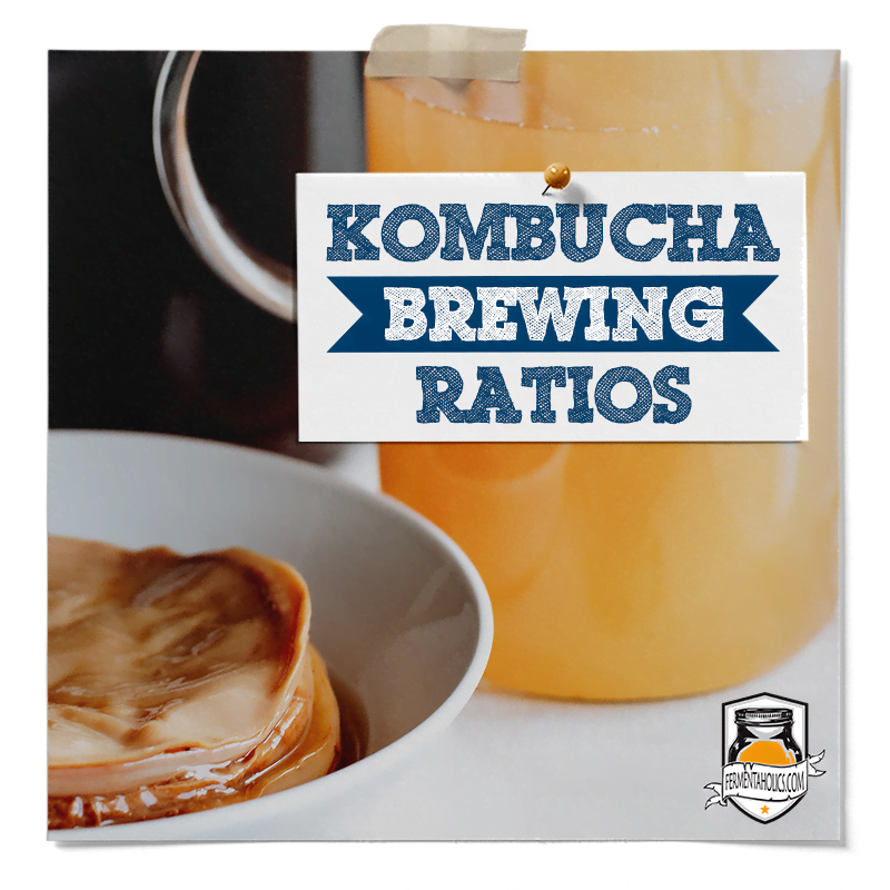 Kombucha Ratios