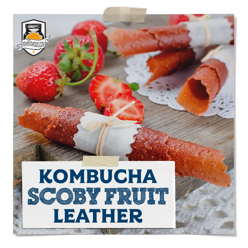 Kombucha Scoby Fruit Leather