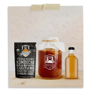 8 Pack Kombucha Stout Bottles