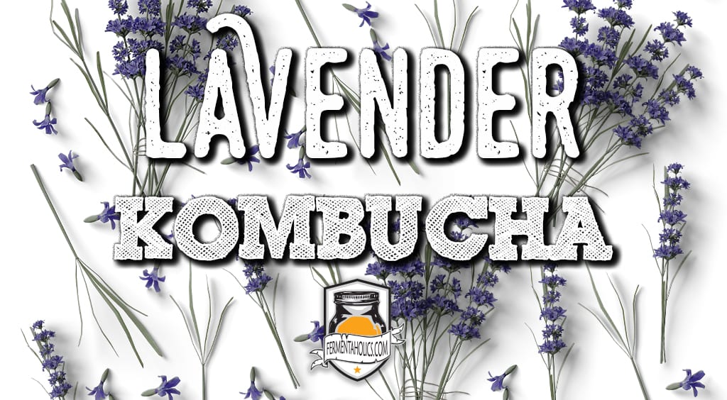 Lavender kombucha