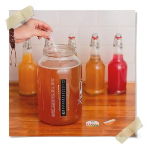 Deluxe Kombucha Brew Kit