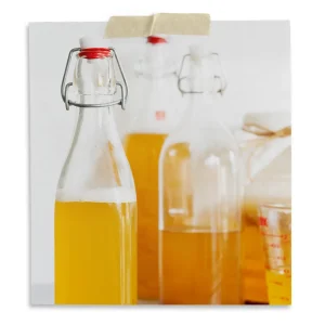 Best Kombucha Starter Kits