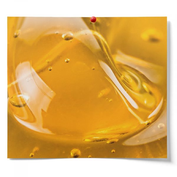 Raw Organic Honey