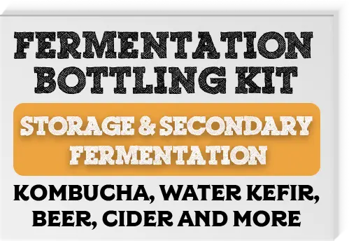 Stout Bottling Kit