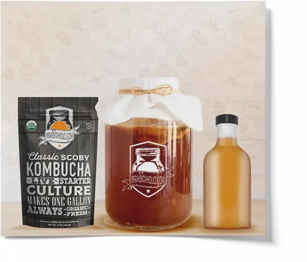 Stout Bottle For Fermentation