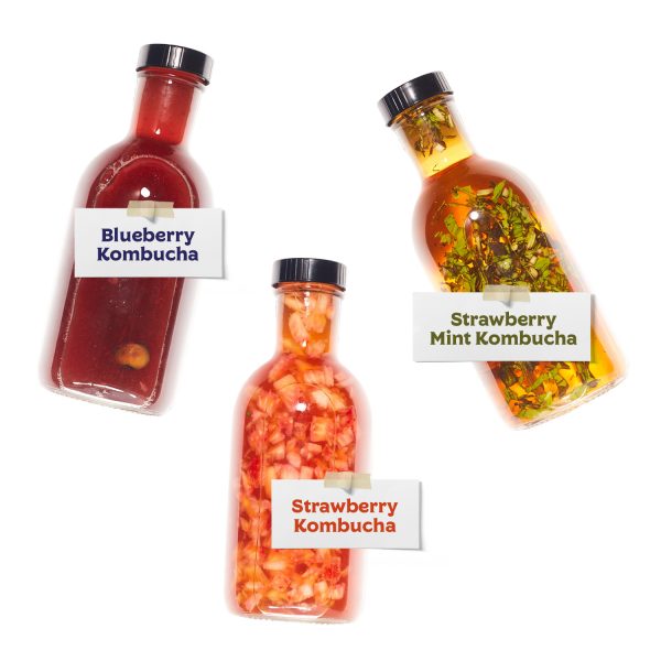 Kombucha Bottles