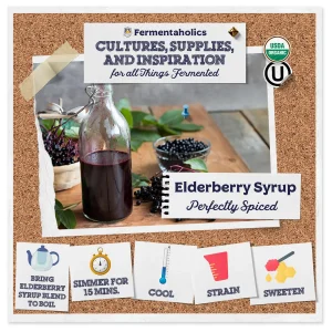 Elderberry Syrup Kit