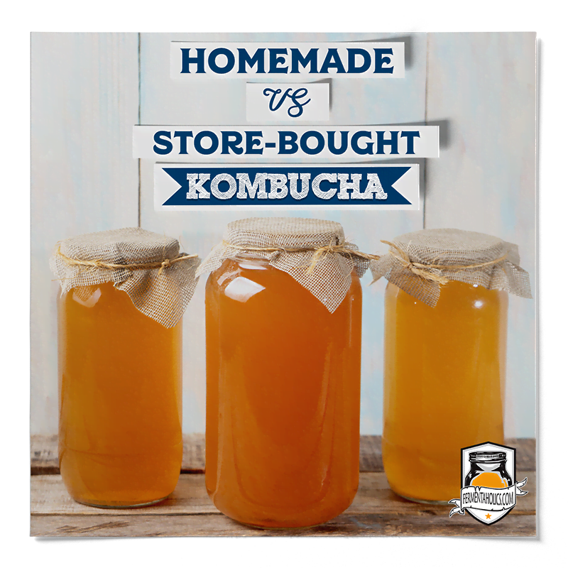 How Much Does Kombucha Cost
