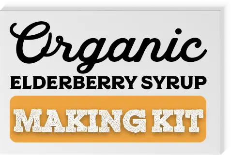 Organic Elderberry Syrup Making Kit
