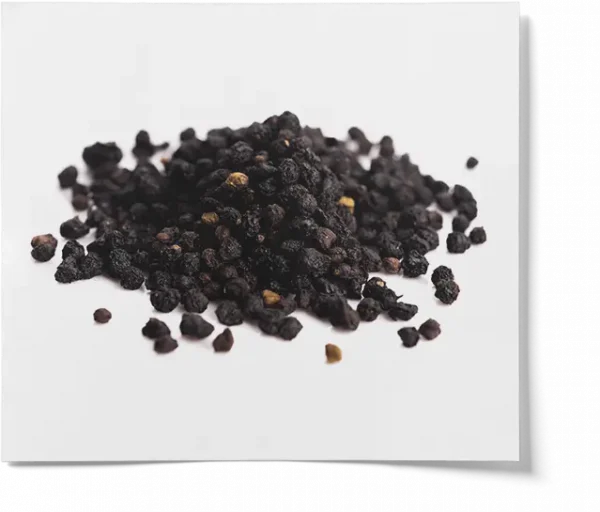 Elderberry Syrup Making Kit
