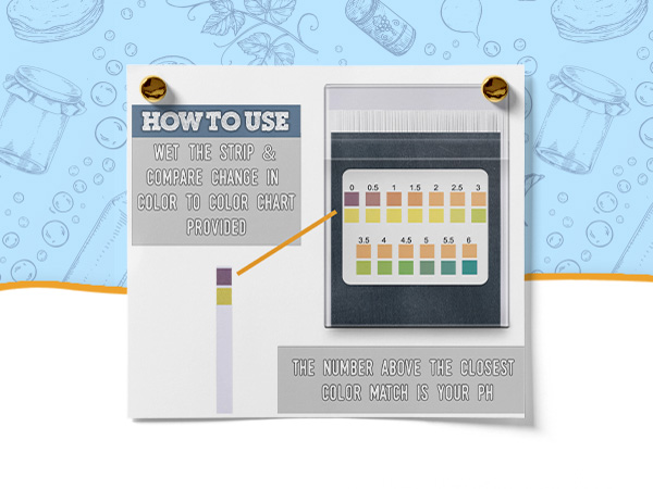 Ph Test Strip