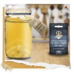 Ph Paper Strips For Water Kefir