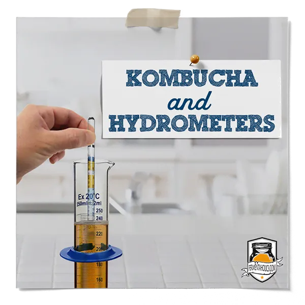 How To Use A Hydrometer For Kombucha
