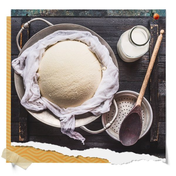 Rennet For Cheese Making
