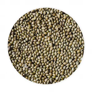 Coriander Seeds