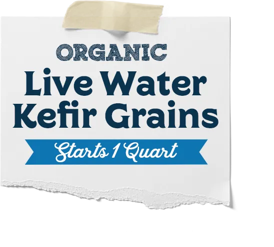 Live Water Kefir