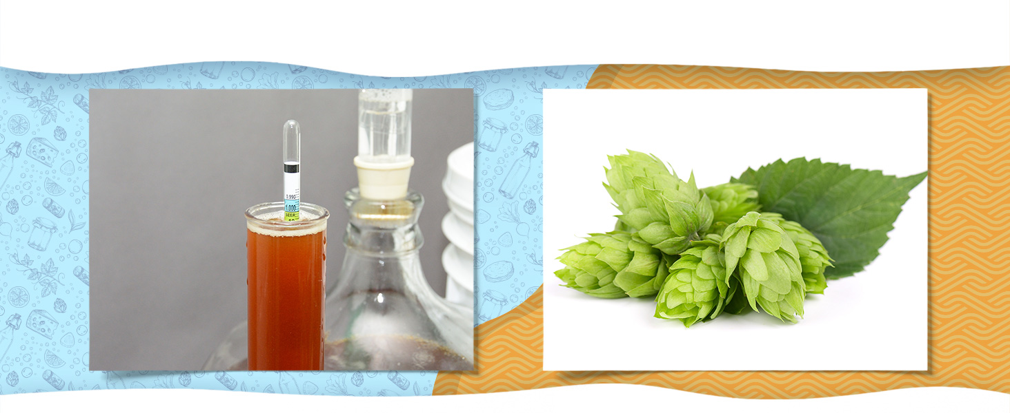 Beer Hydrometer
