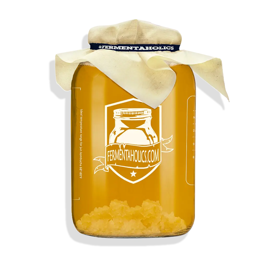 Water Kefir Primary Fermentation