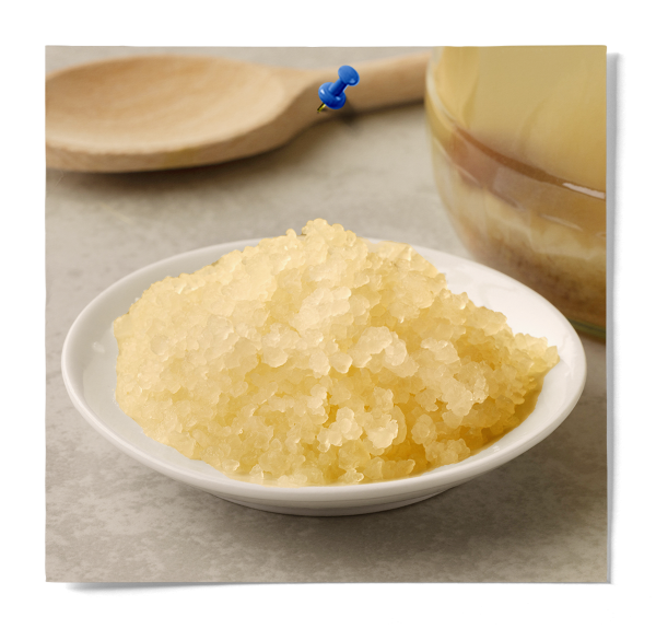 Waterkefir Grains