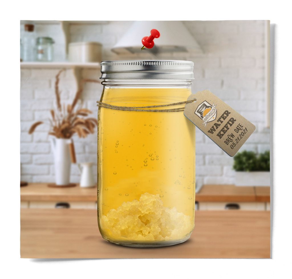 WaterKefir Mason