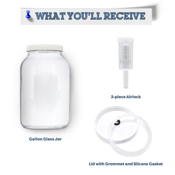 Glass Gallon Jar With Grommeted Lid And 3-Piece Airlock