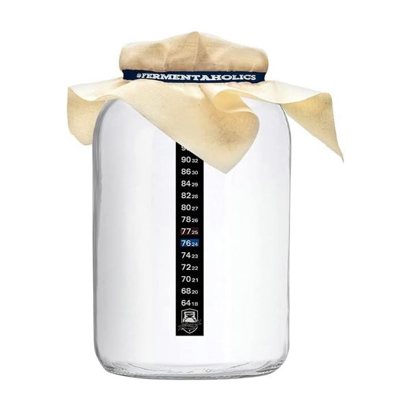One Gallon Kombucha Brewing Equipment