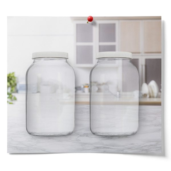 2 One-Gallon Plain Fermentation Jar