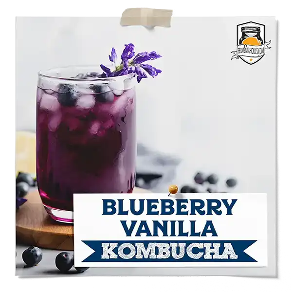Blueberry Vanilla Kombucha