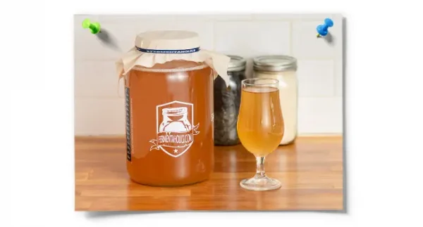 2-Pack Printed Gallon Kombucha Glass Jar Set
